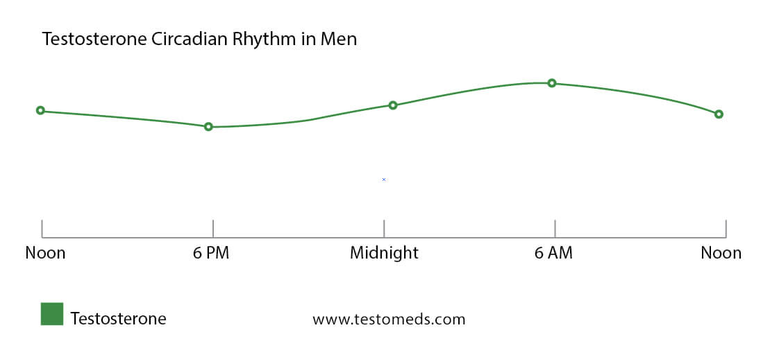 testosterone daily graph