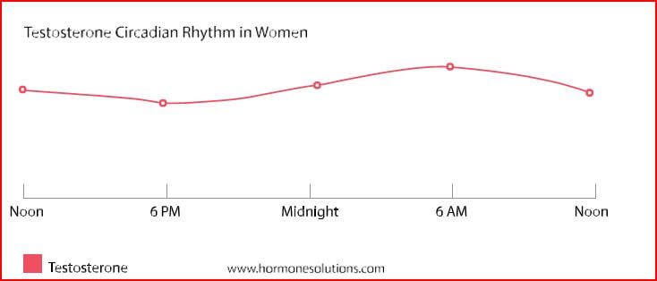 testosterone levels in women