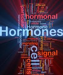 hormones